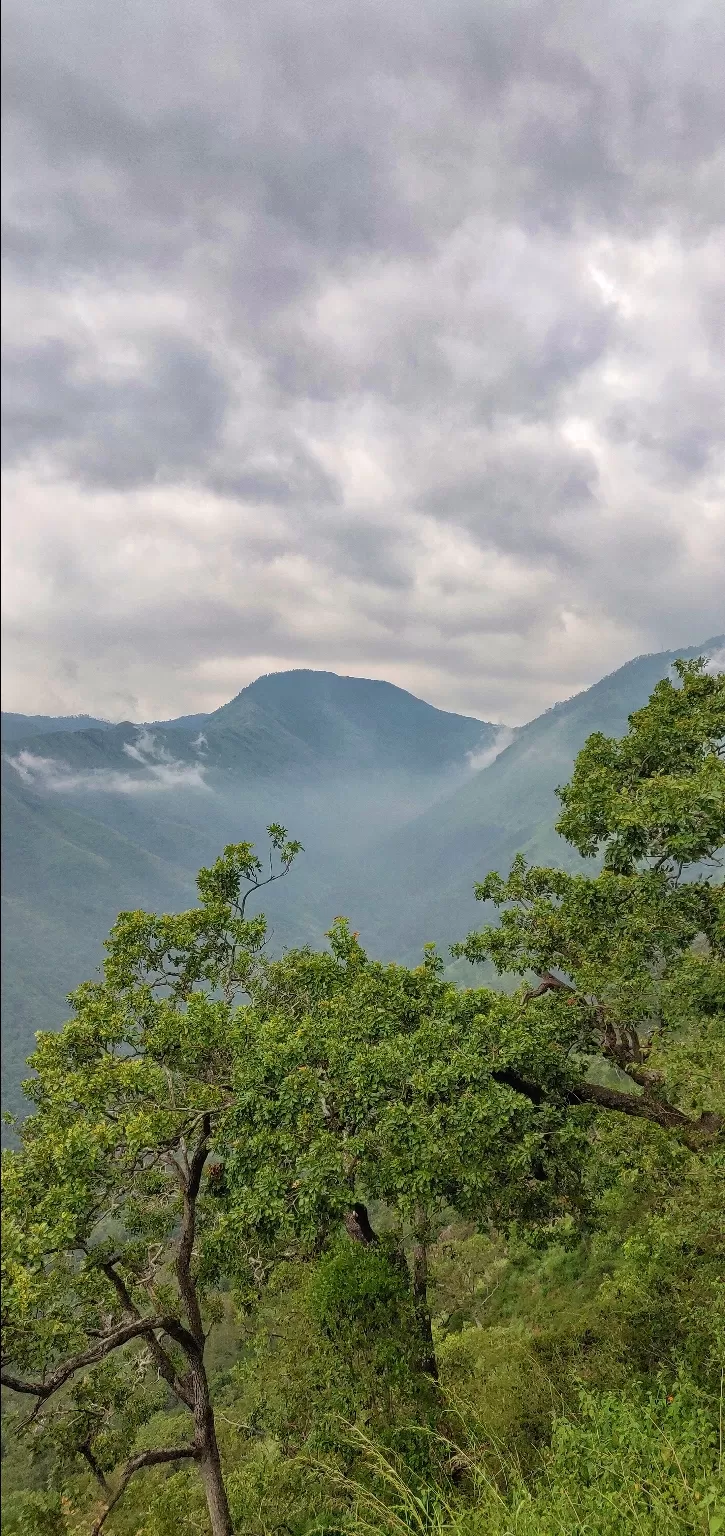 Photo of Avalanche Hill Top View Point By vino-gowthaman