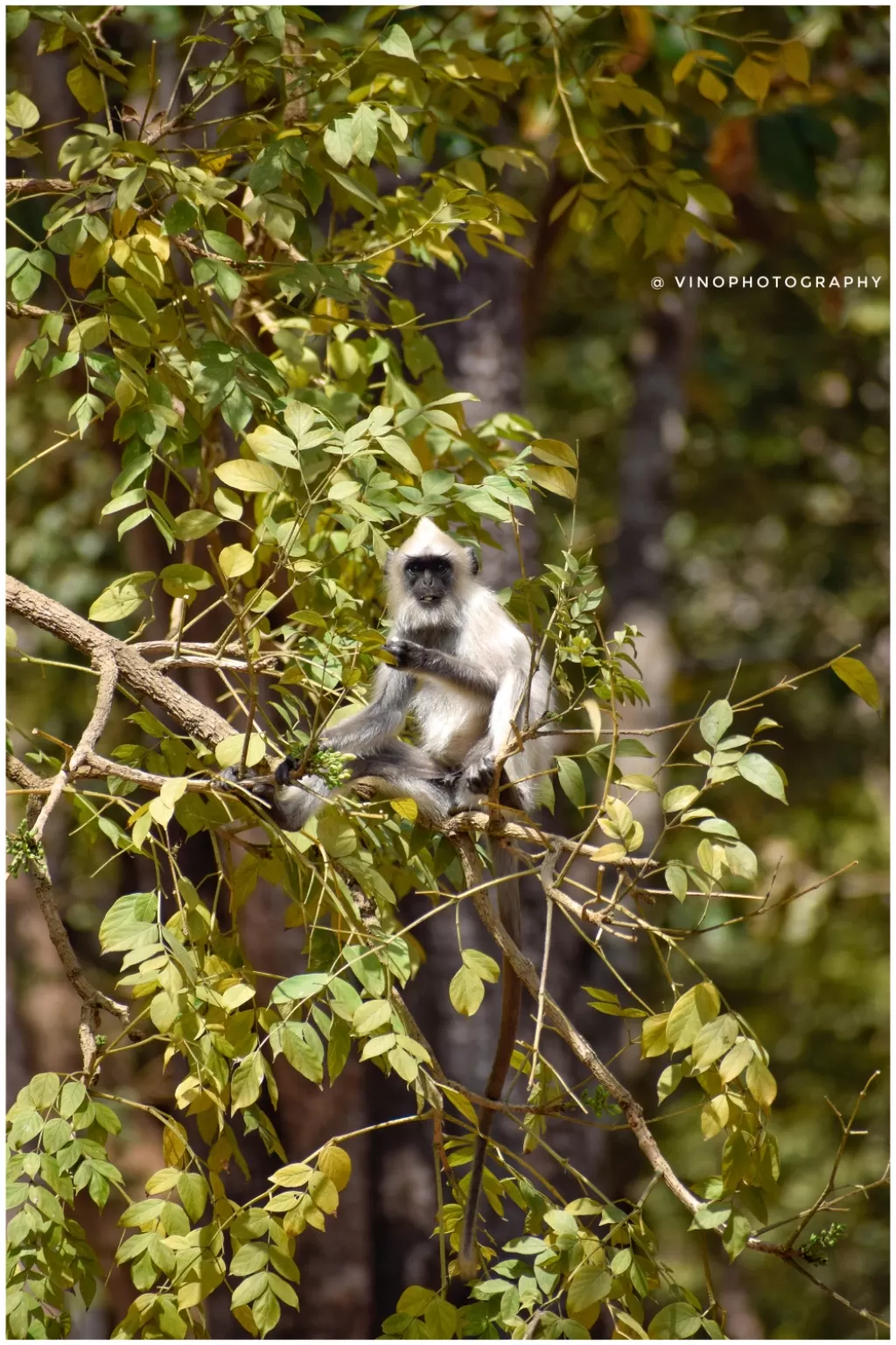 Photo of Gudalore By vino-gowthaman