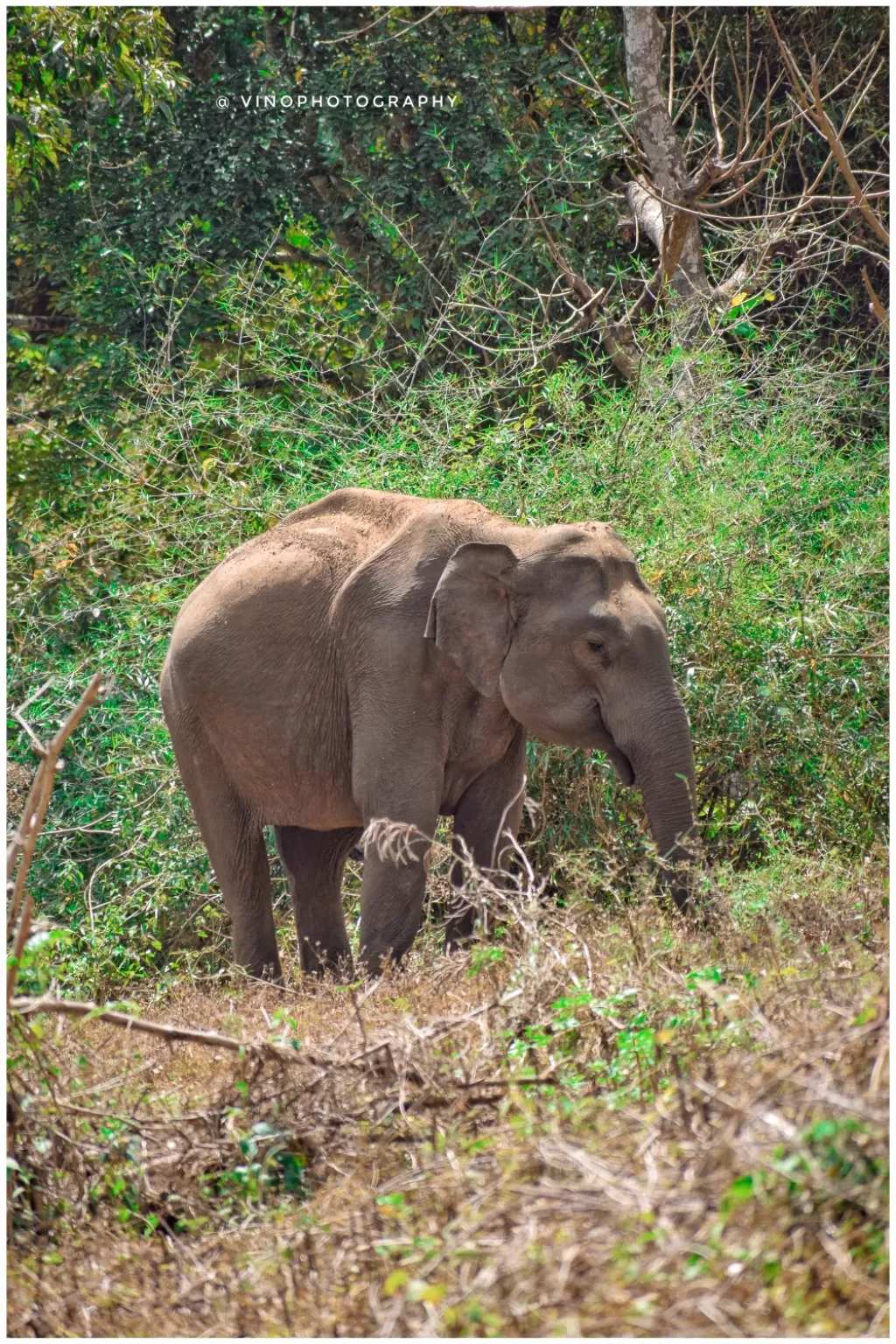 Photo of Gudalore By vino-gowthaman
