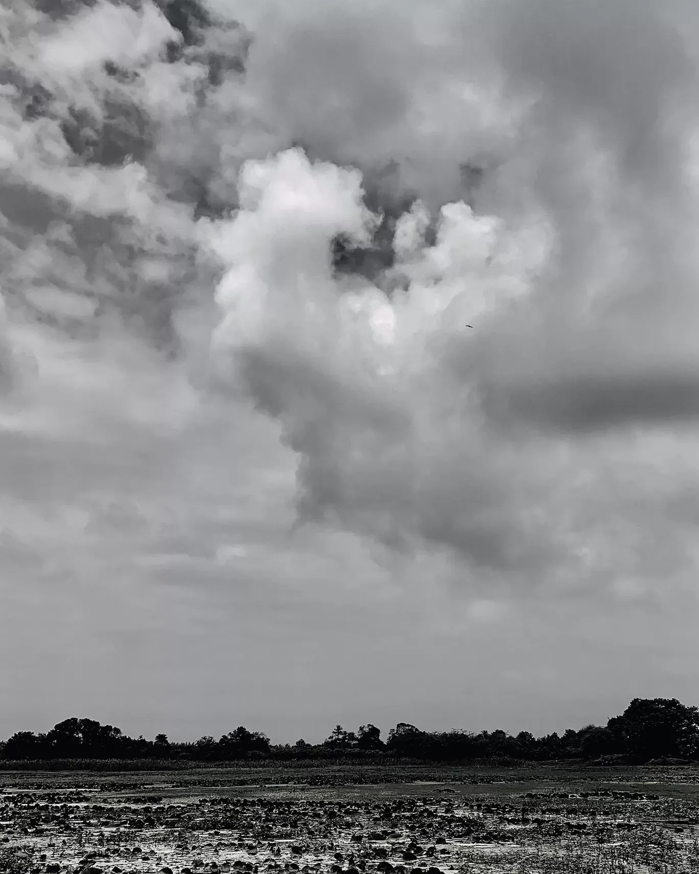Photo of India By wanderwithnirav