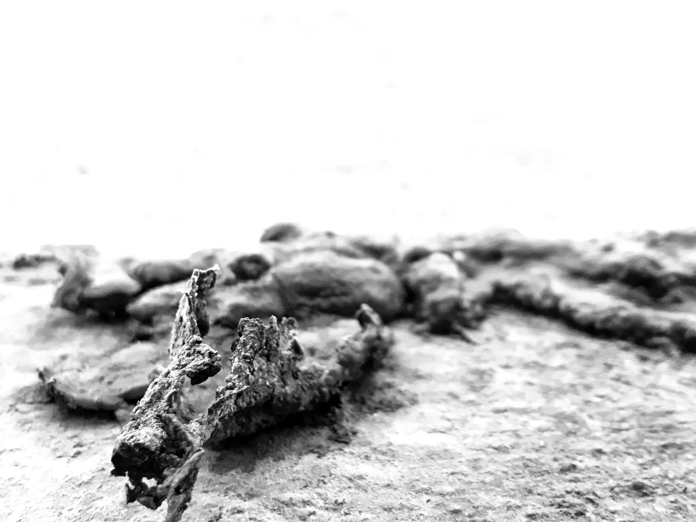 Photo of India By wanderwithnirav