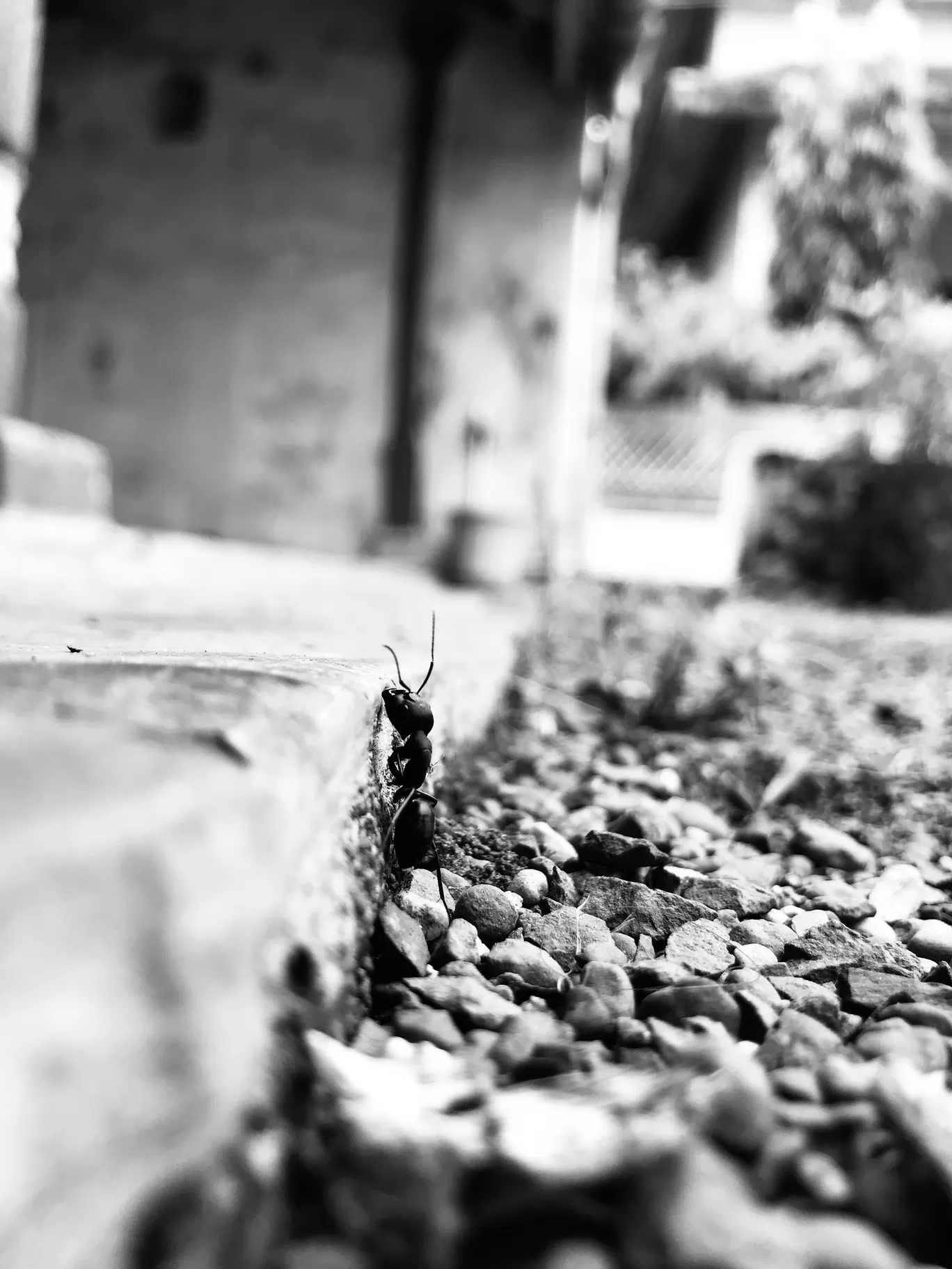 Photo of India By wanderwithnirav