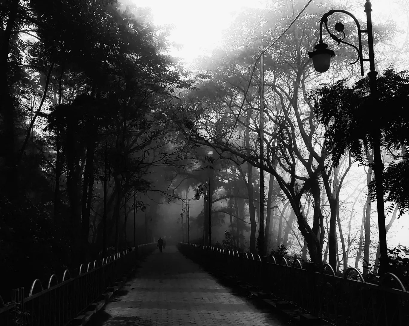 Photo of Jalpaiguri By Anubhab Dey