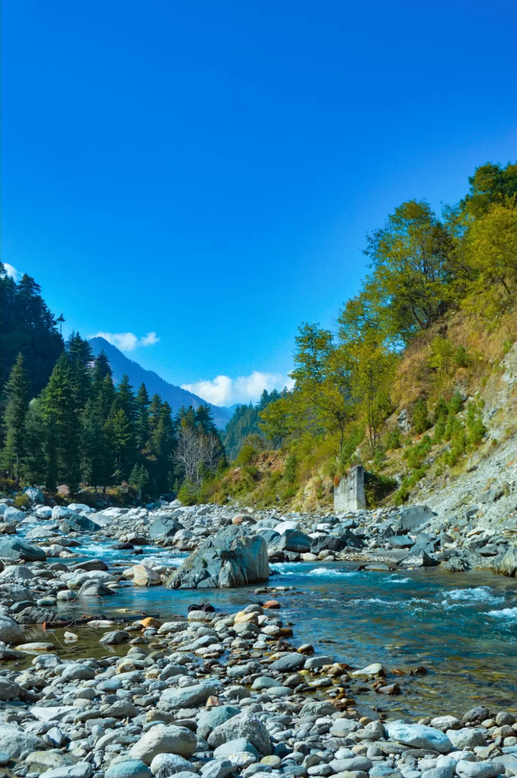 Photo of Barot Valley By charm.alarm