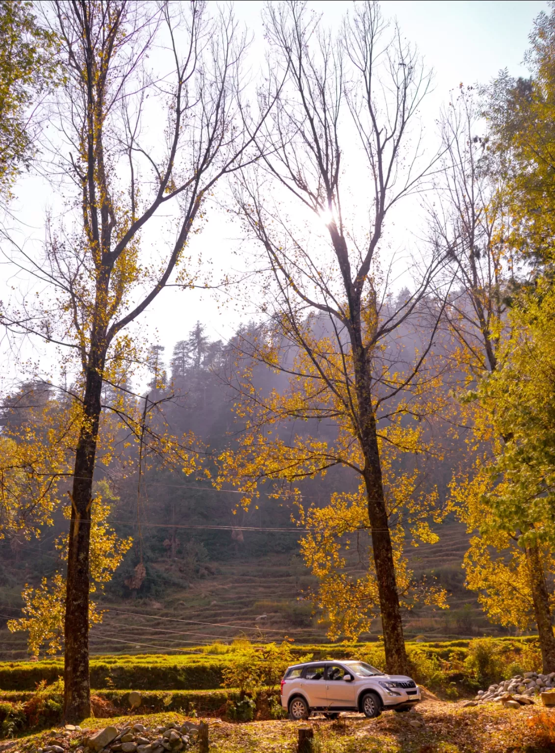 Photo of Barot Valley By charm.alarm