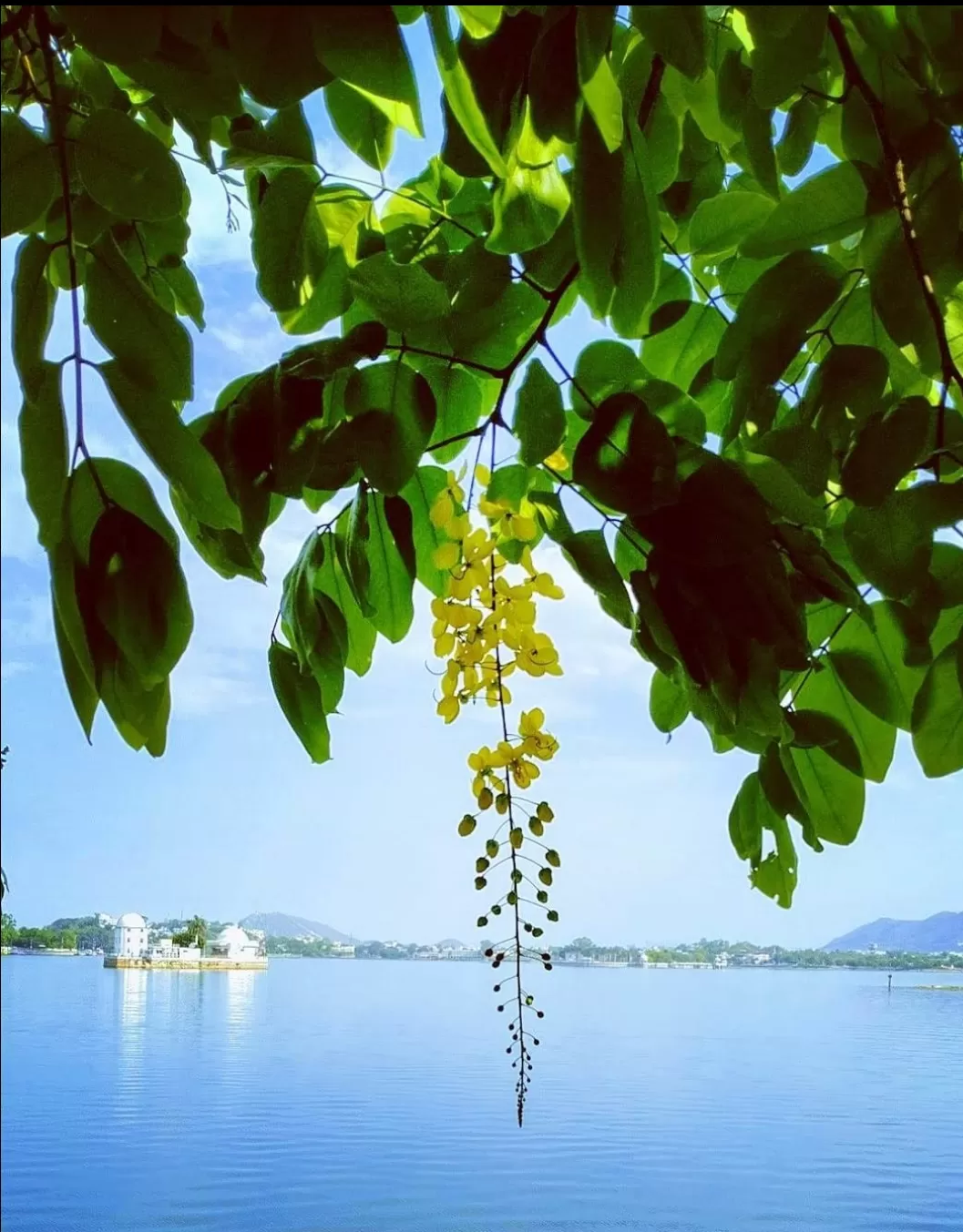 Photo of Fateh Sagar Lake By Riddhi Jain