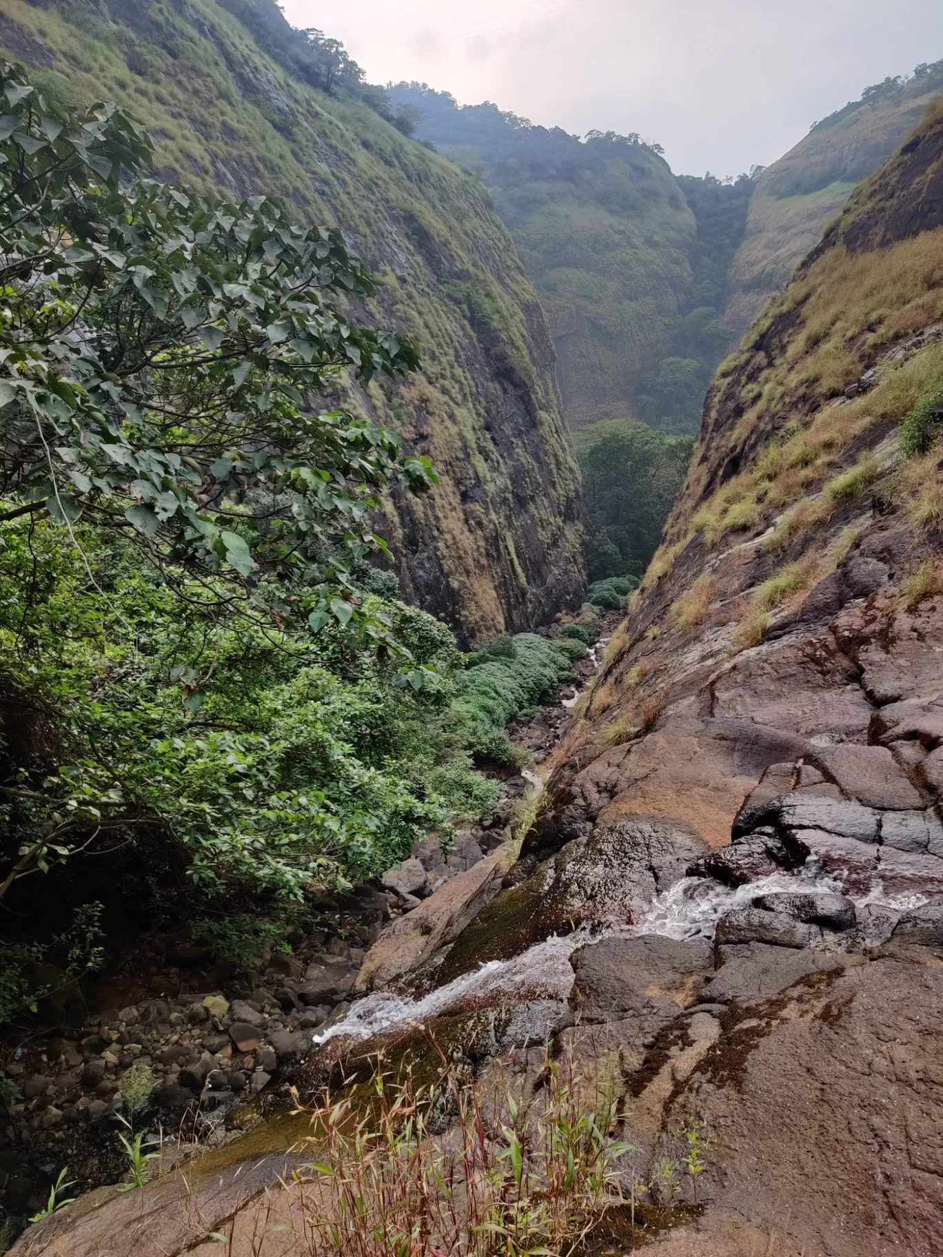 Photo of Tamhini Ghat By Hilltop Camping