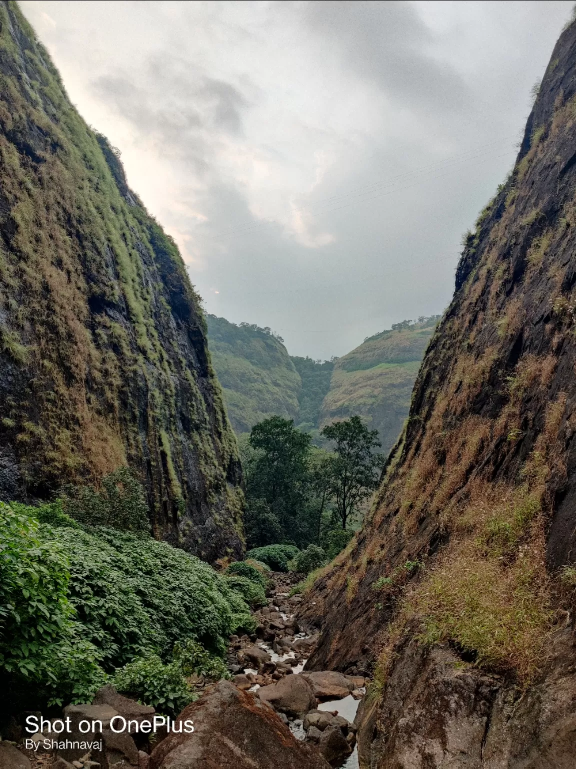 Photo of Tamhini Ghat By Hilltop Camping