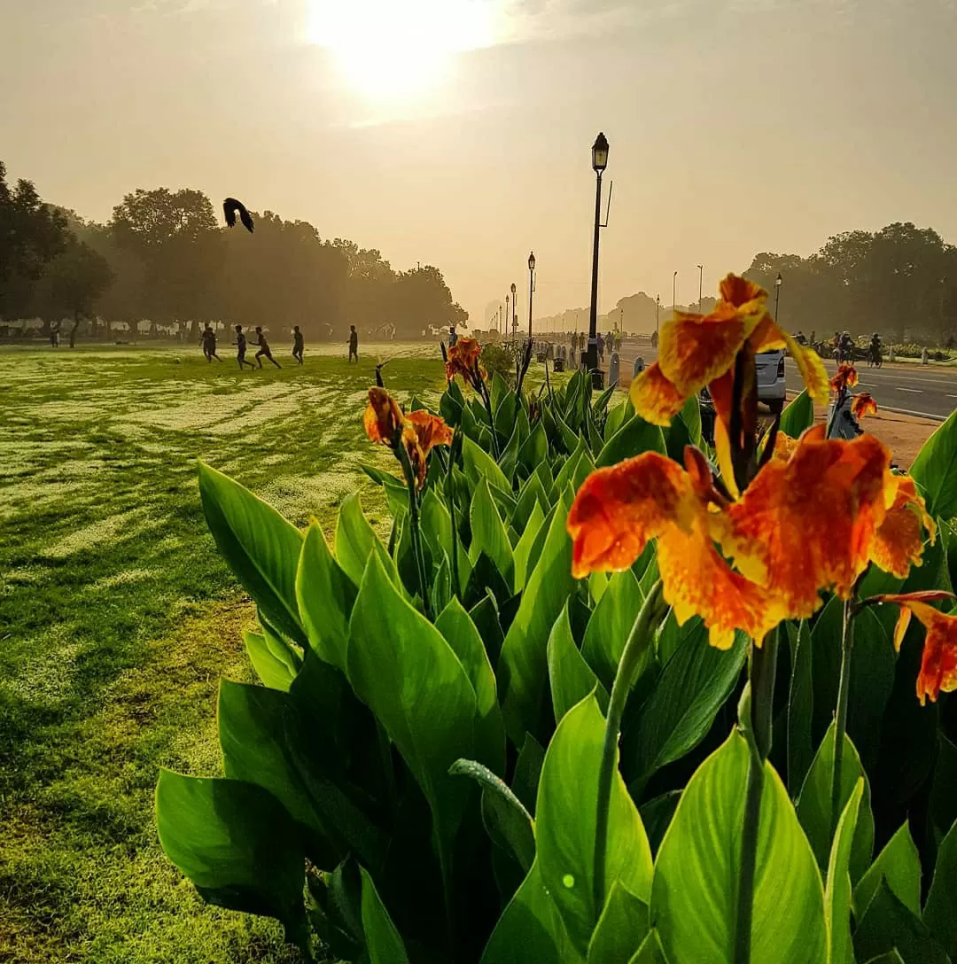 Photo of Delhi By zubair ahmad