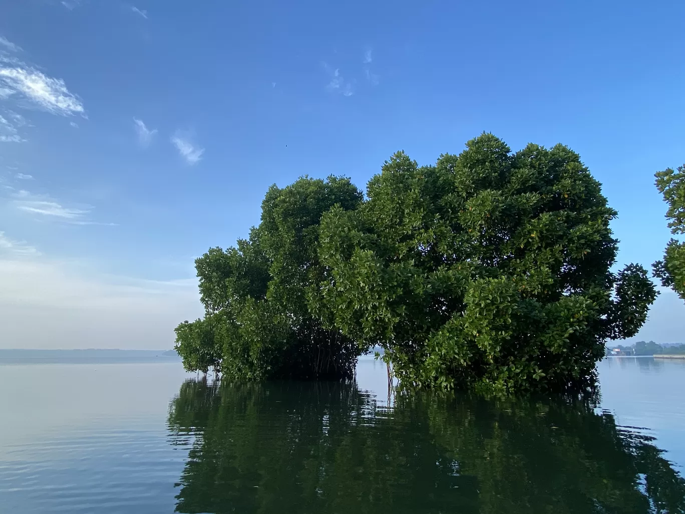 Photo of Munroe Island By Darshini 