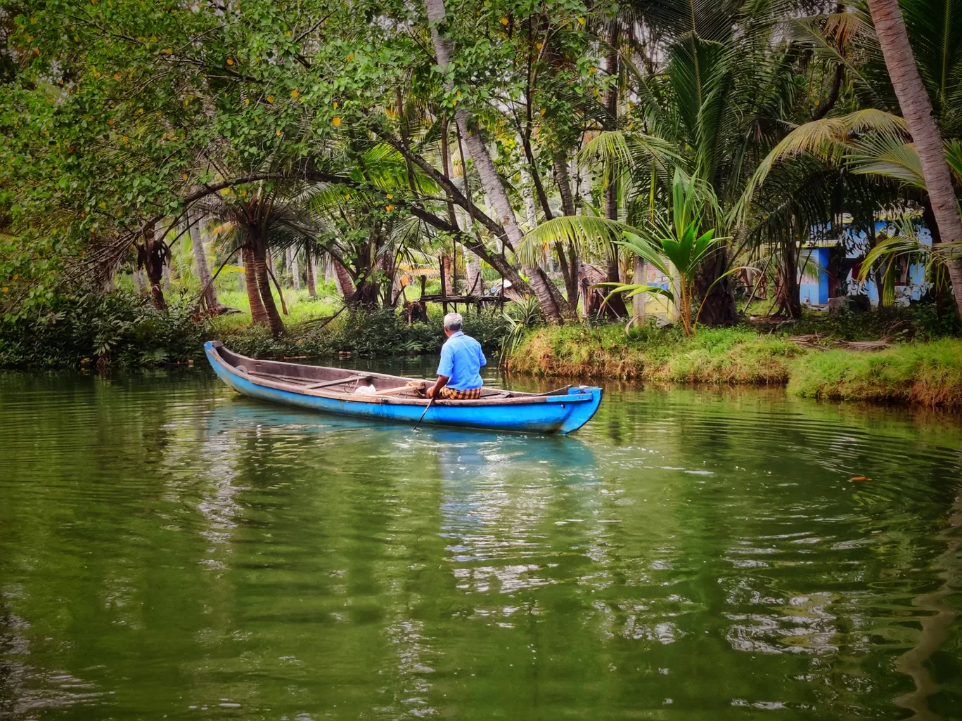 Photo of Kerala By Bala