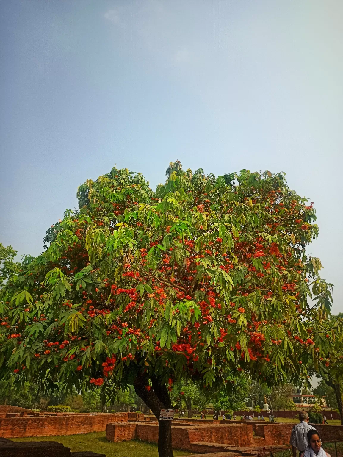 Photo of Kushinagar By PRAKASH MEHDAWAL