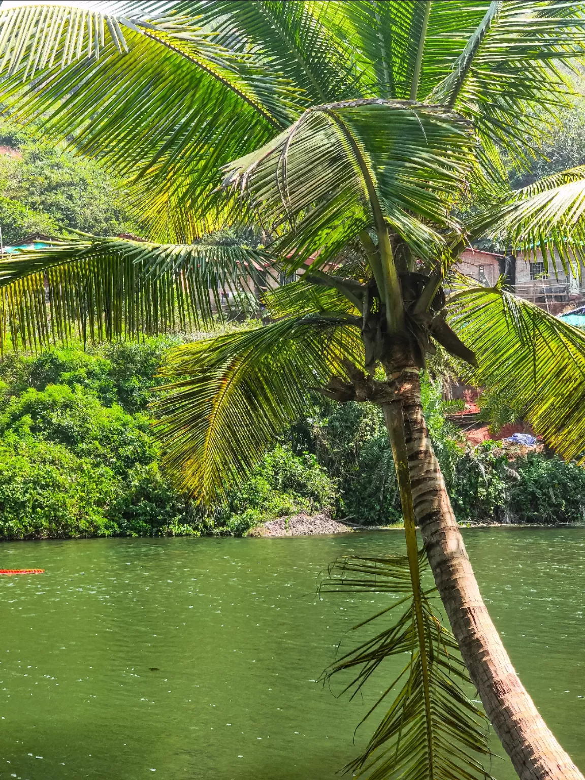 Photo of Arambol Sweet Water Lake By Himani & Naman | Travel | Food | Love 