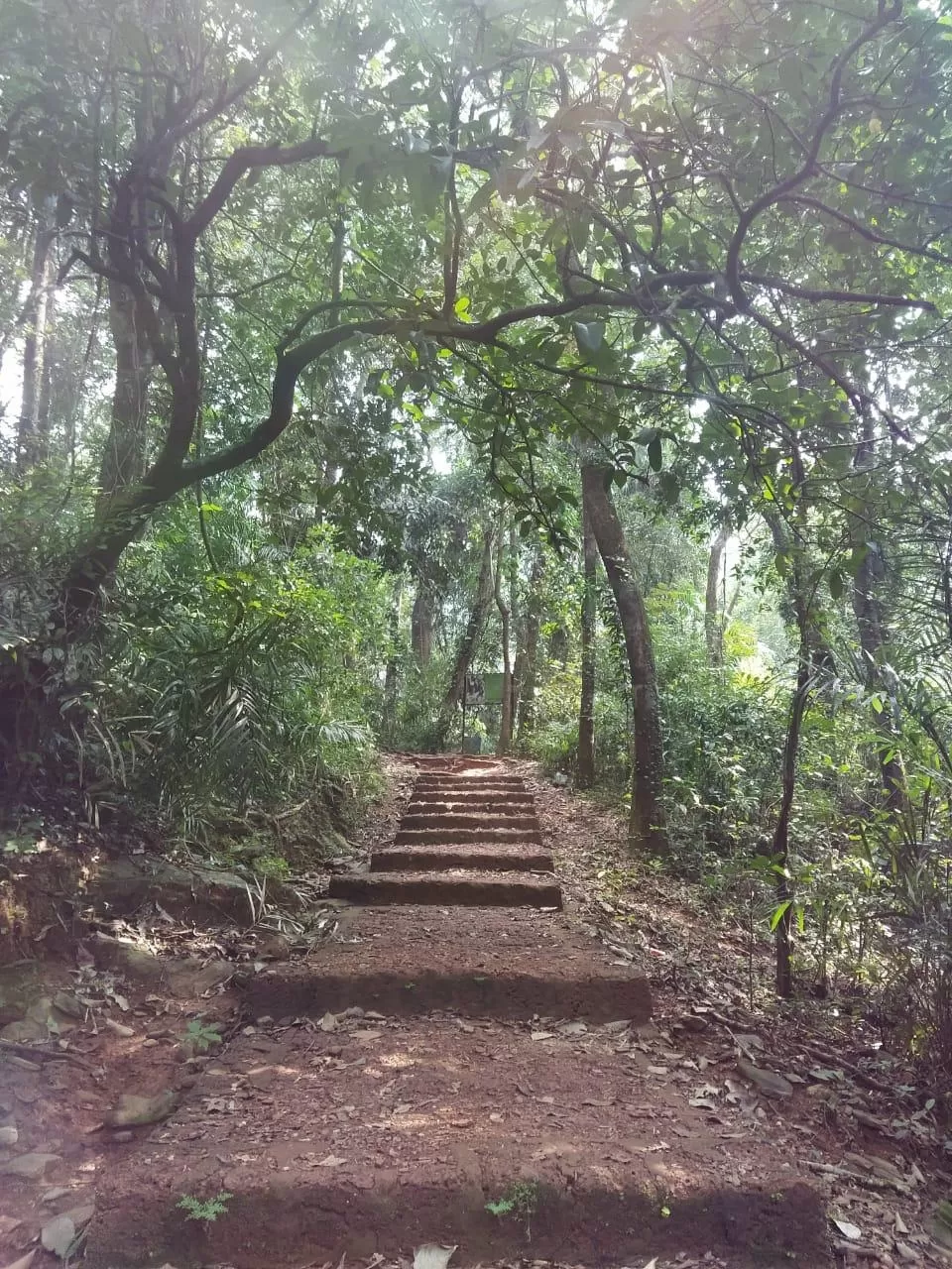 Photo of Karnataka By rashmi u