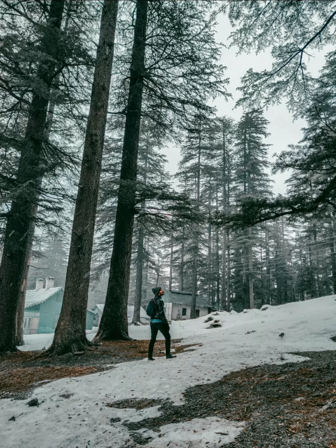 Photo of Himachal Pradesh By Aakash Vishwakarma