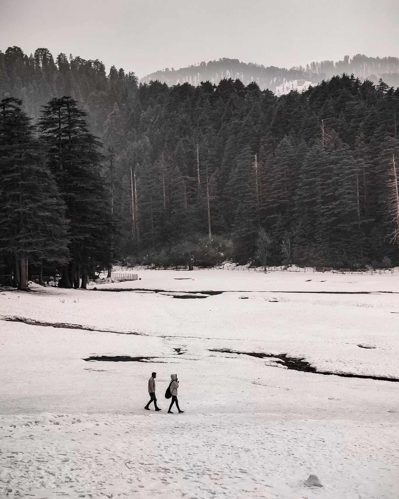 Photo of Khajjiar Mini Switzerland By Aakash Vishwakarma