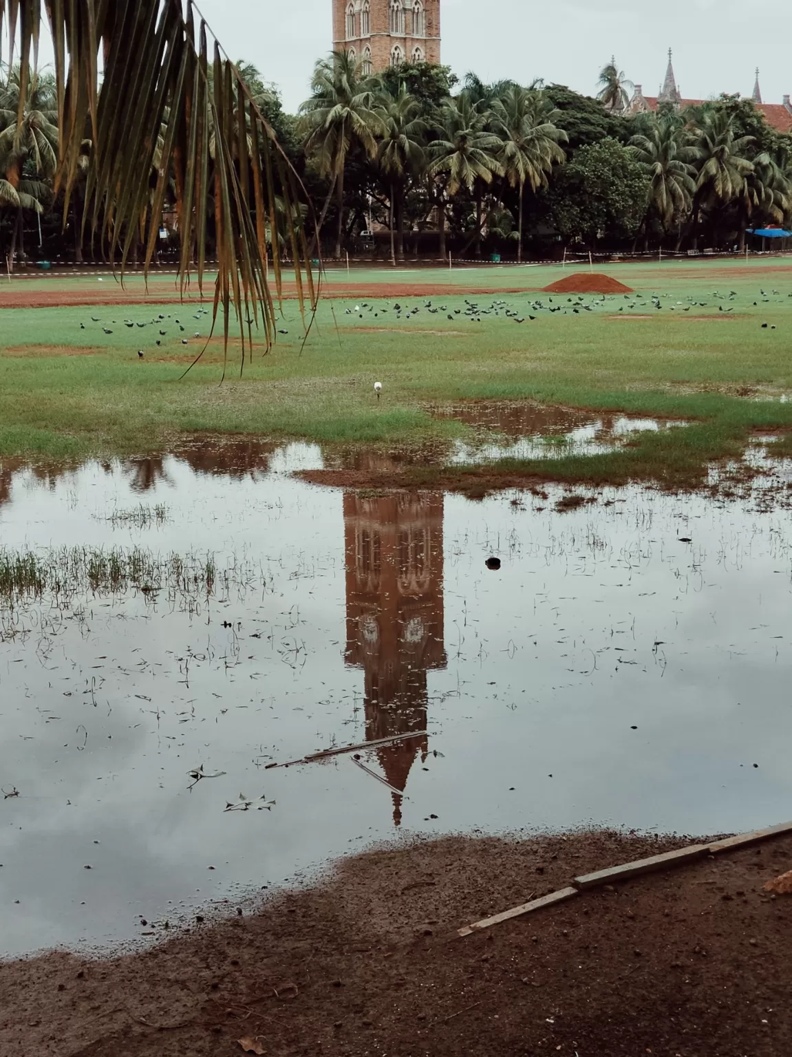 Photo of Rajabai Clock Tower By Aakash Vishwakarma