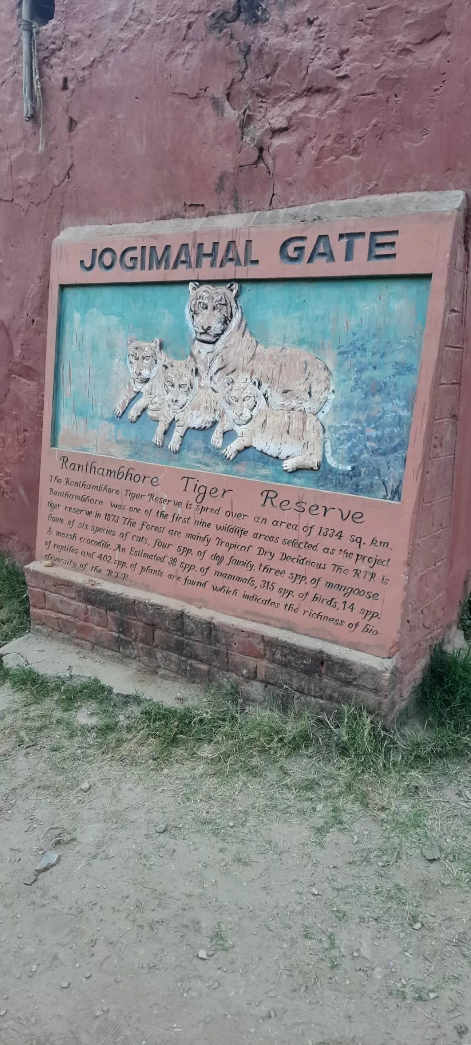 Photo of Ranthambore Tiger Reserve By Amit Rawat