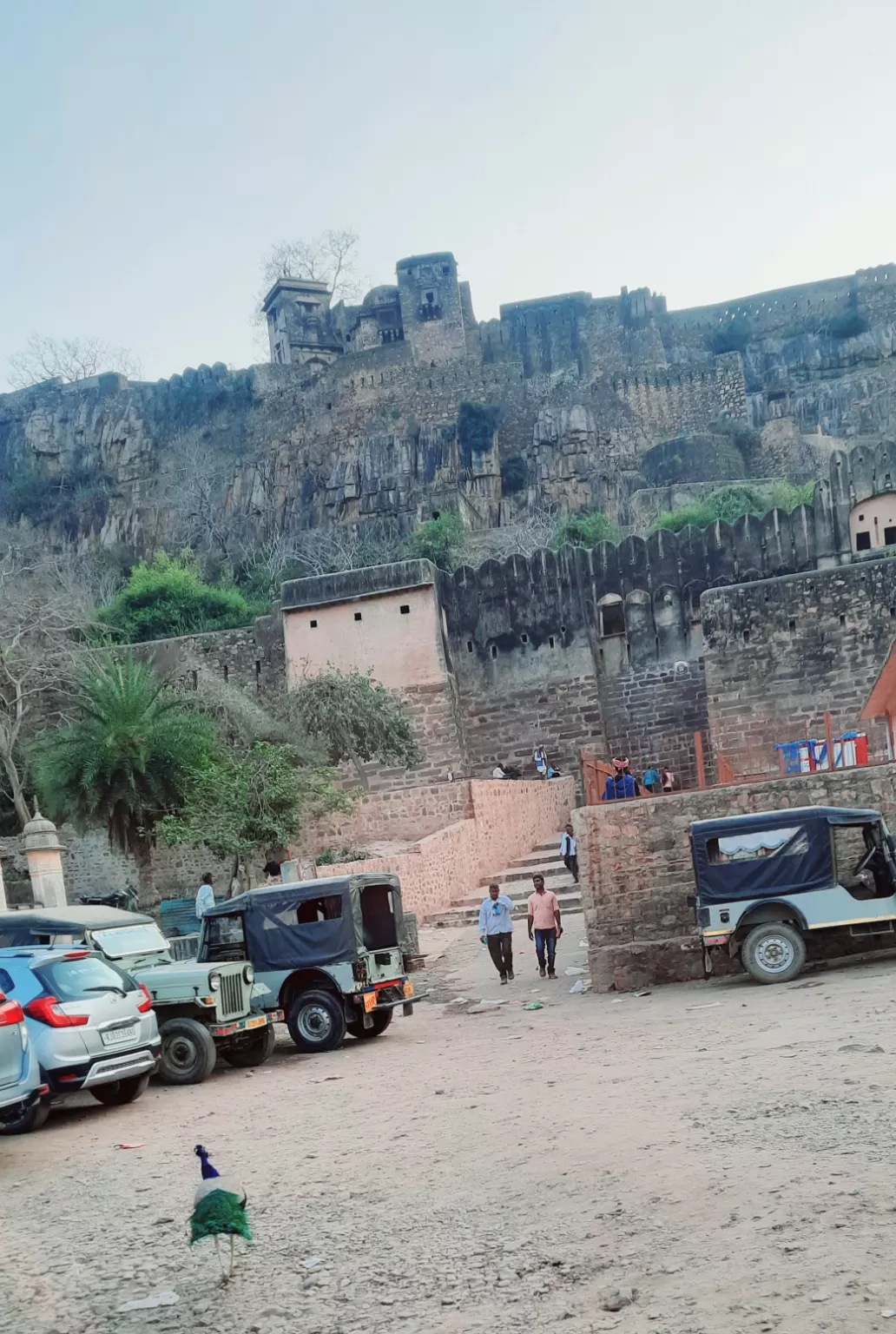 Photo of Ranthambore Tiger Reserve By Amit Rawat