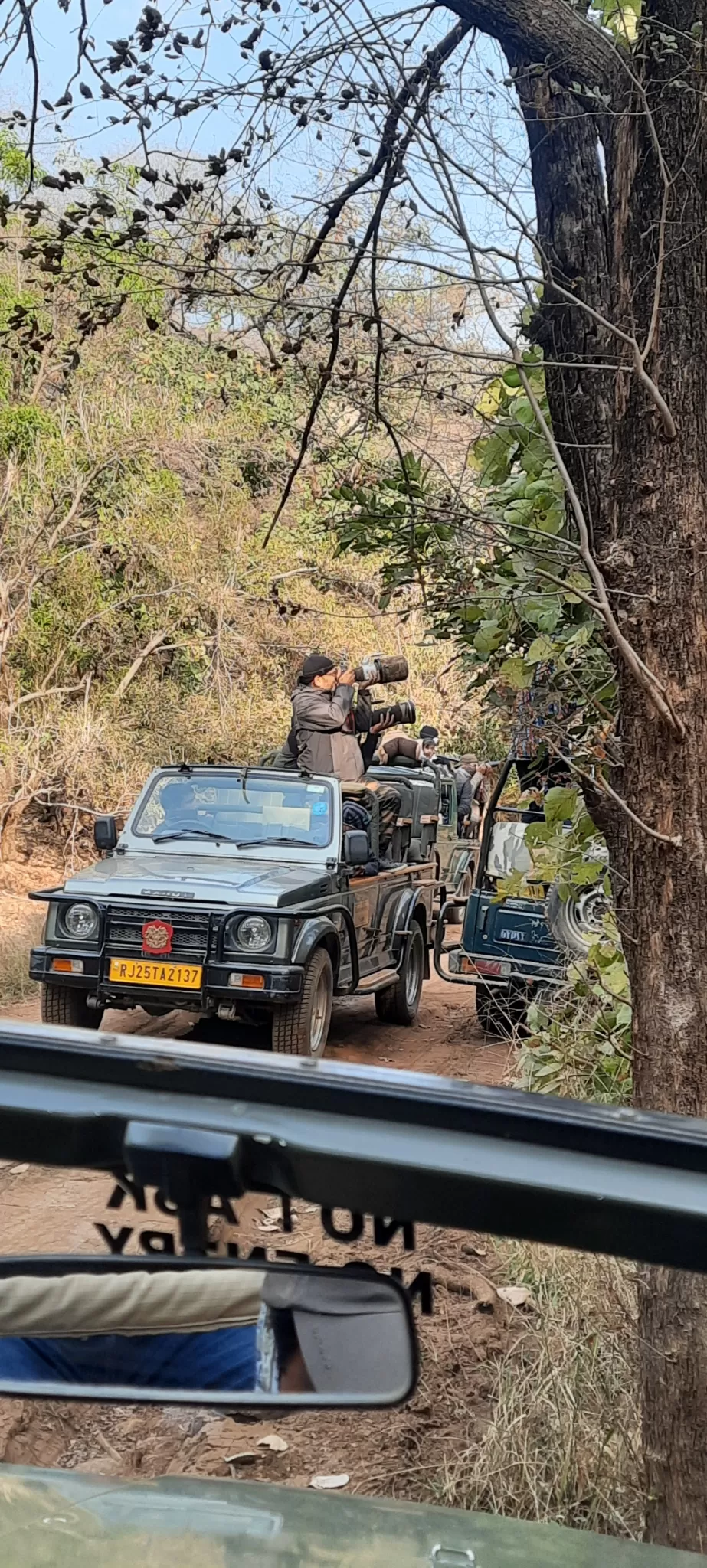 Photo of Ranthambore Tiger Reserve By Amit Rawat