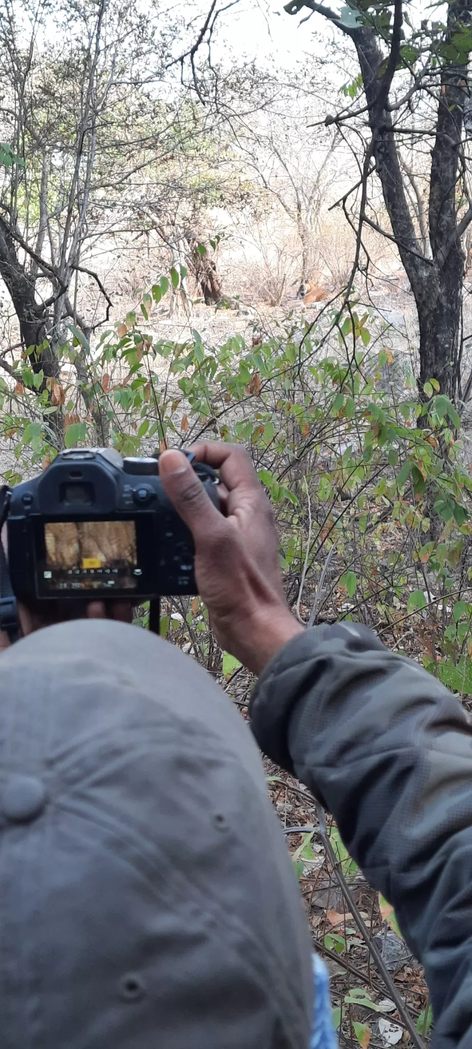 Photo of Ranthambore Tiger Reserve By Amit Rawat