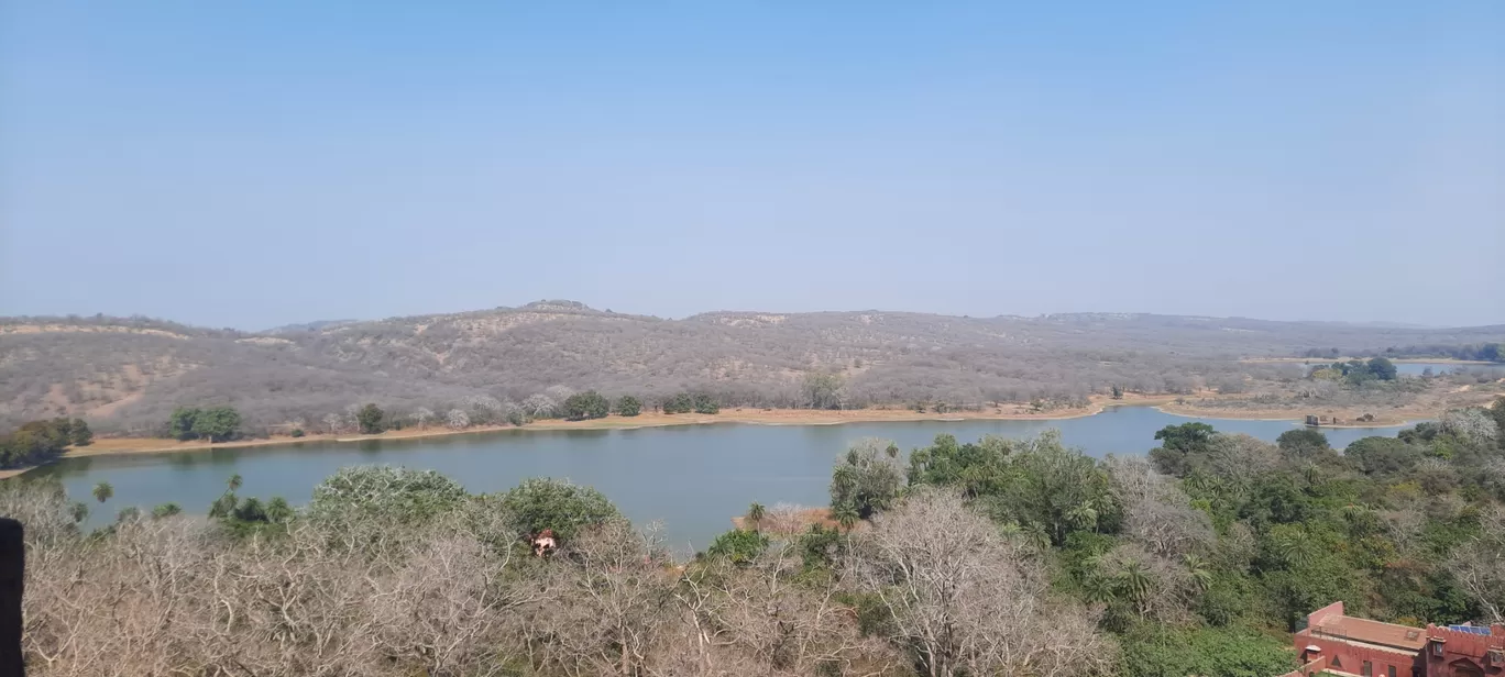 Photo of Ranthambore Tiger Reserve By Amit Rawat