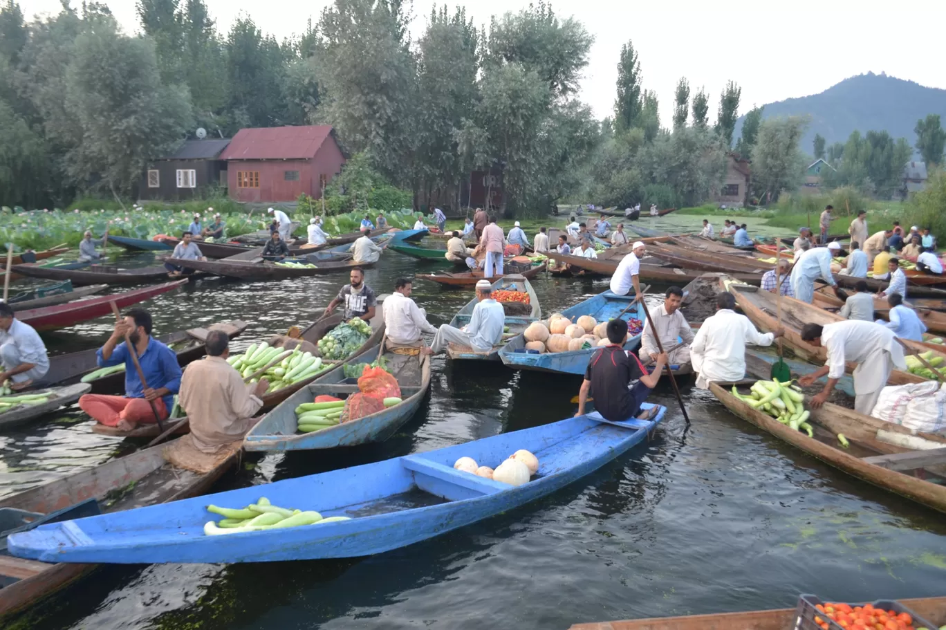 Photo of Floating Vegetables Market Dal Lake By Aqif Hussain