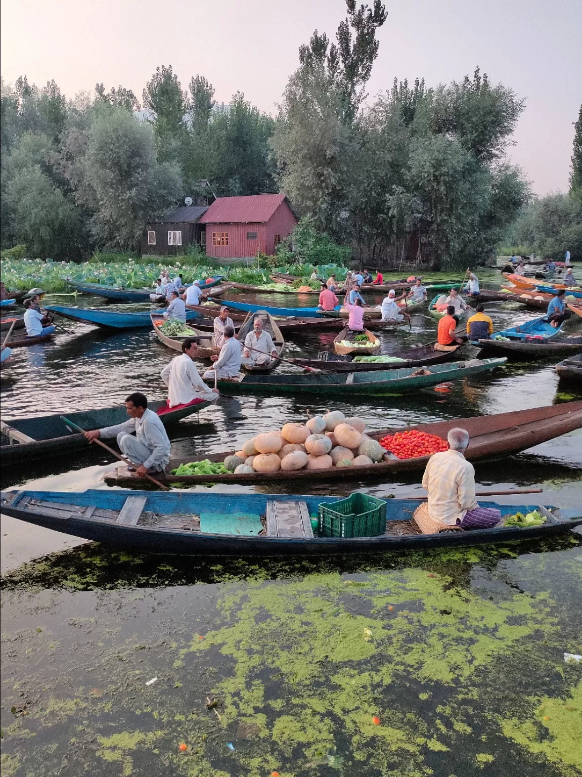 Photo of Floating Vegetables Market Dal Lake By Aqif Hussain