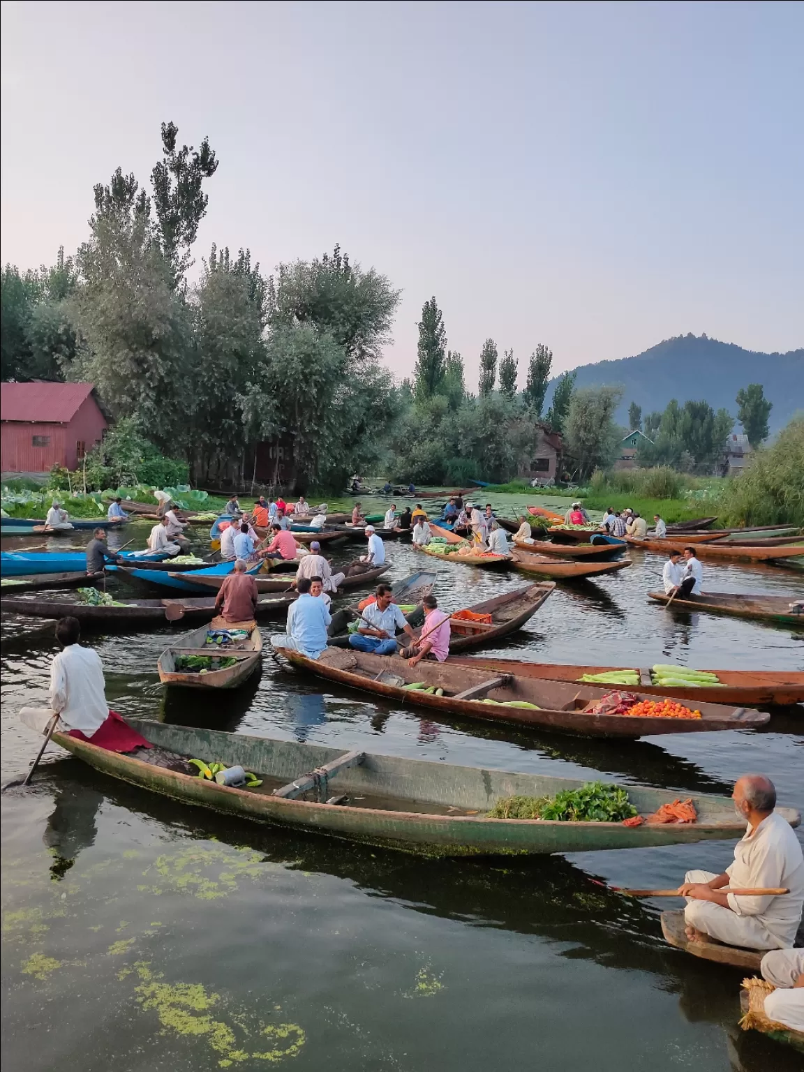 Photo of Floating Vegetables Market Dal Lake By Aqif Hussain