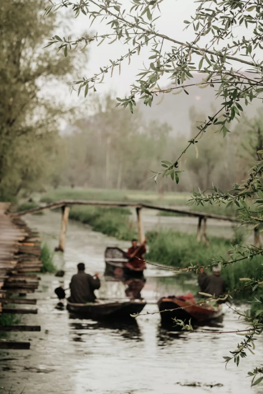 Photo of Kashmir Valley By Aqif Hussain