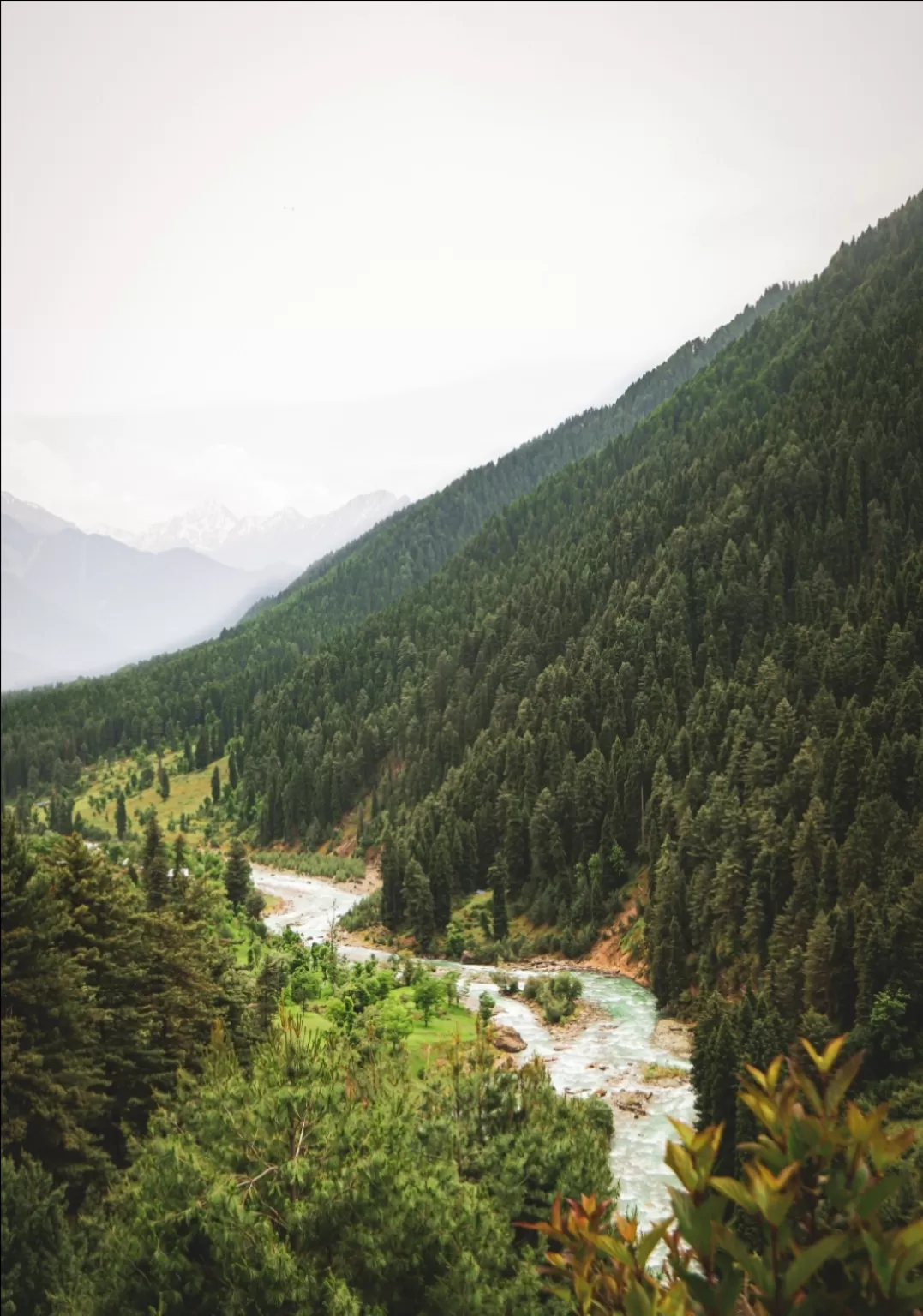 Photo of Baisaran Pahalgam By Aqif Hussain