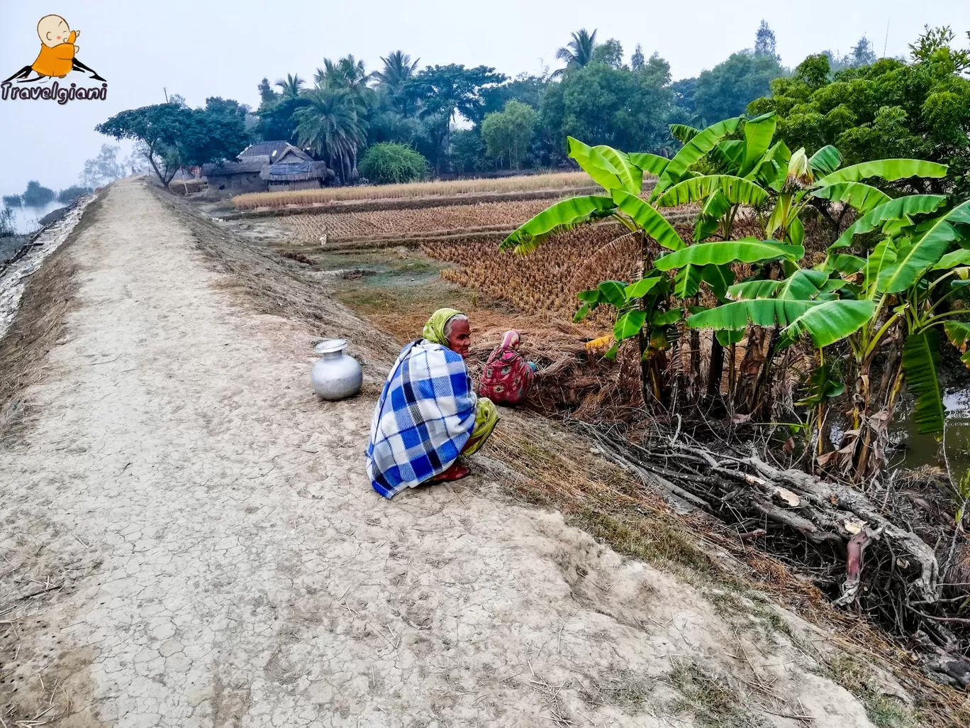 Photo of Sundarban By Travel Giani