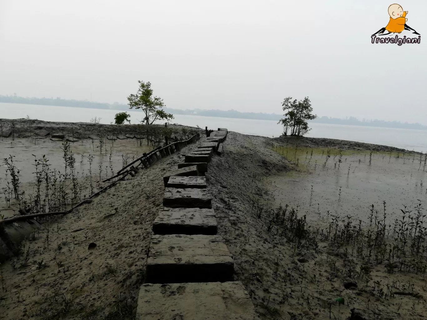 Photo of Sundarban By Travel Giani