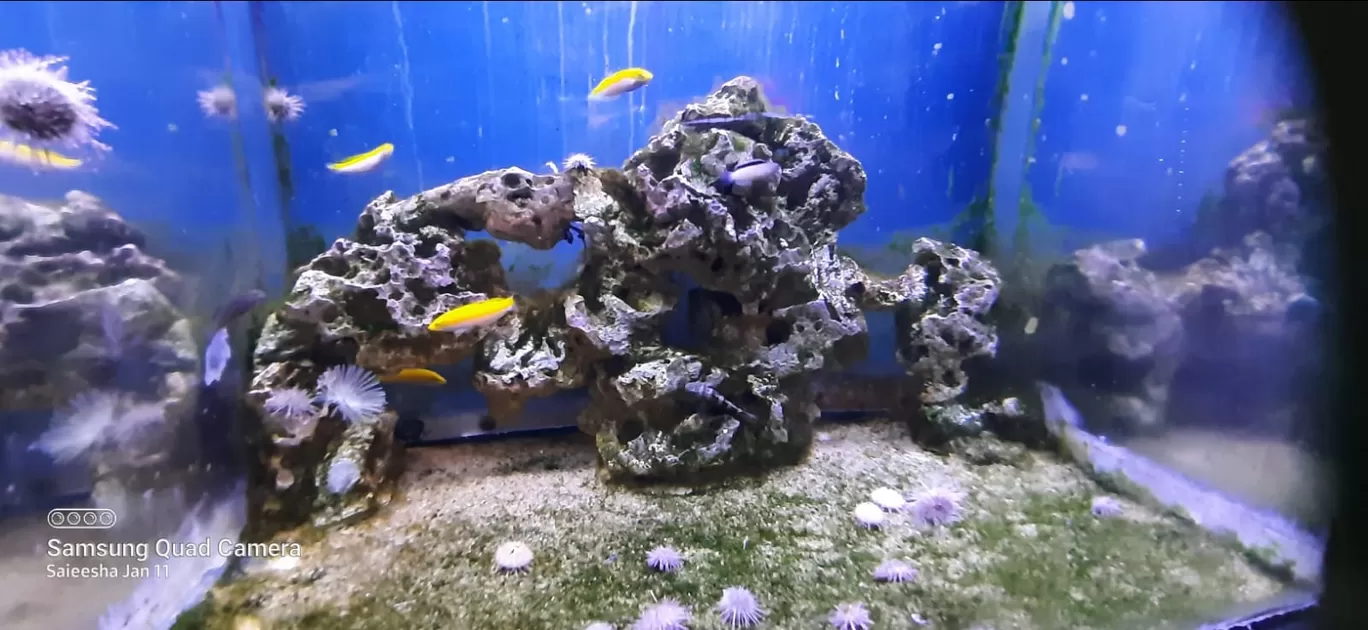 Photo of VGP Marine Kingdom By Jaya Kumar