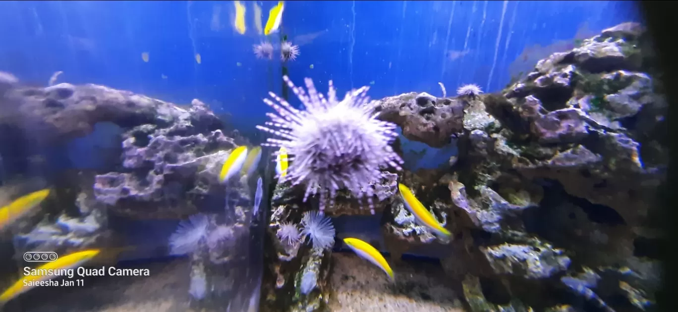 Photo of VGP Marine Kingdom By Jaya Kumar