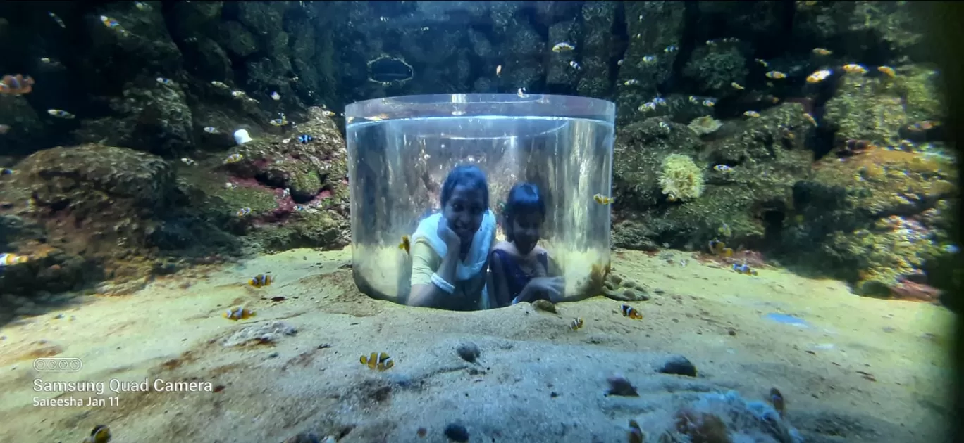 Photo of VGP Marine Kingdom By Jaya Kumar