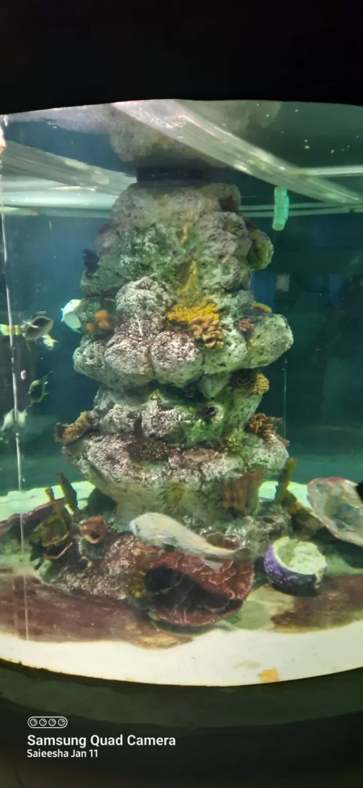 Photo of VGP Marine Kingdom By Jaya Kumar