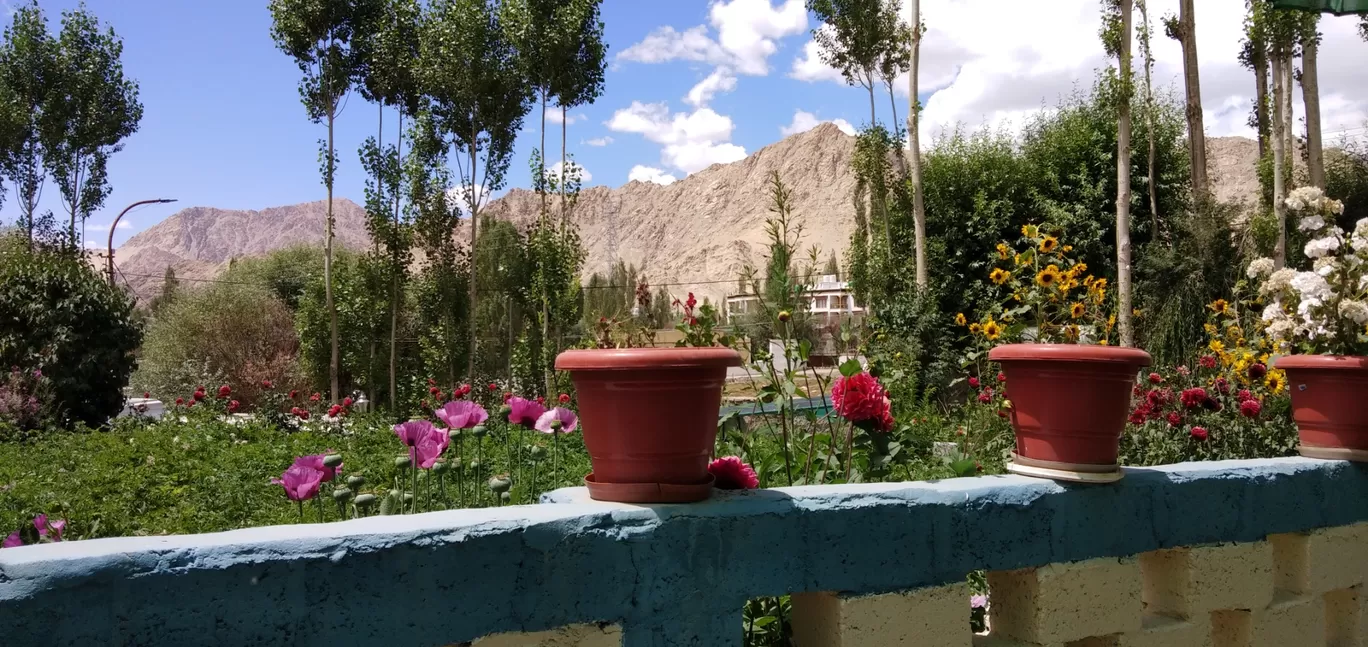 Photo of Ladakh By Shrado SN