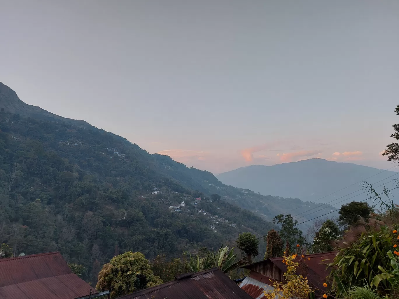 Photo of Chhota Mangwa By Shamayan Bhattacharya