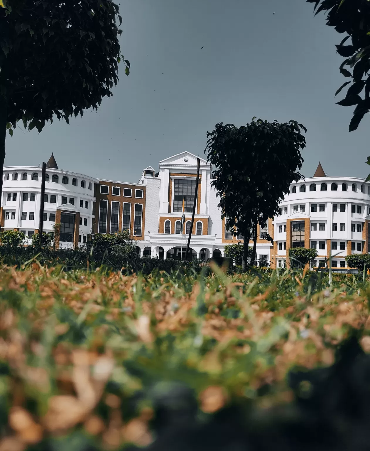 Photo of Graphic Era (Deemed to be University) By Travel_with_Ritzzz 👑🇮🇳🏔️