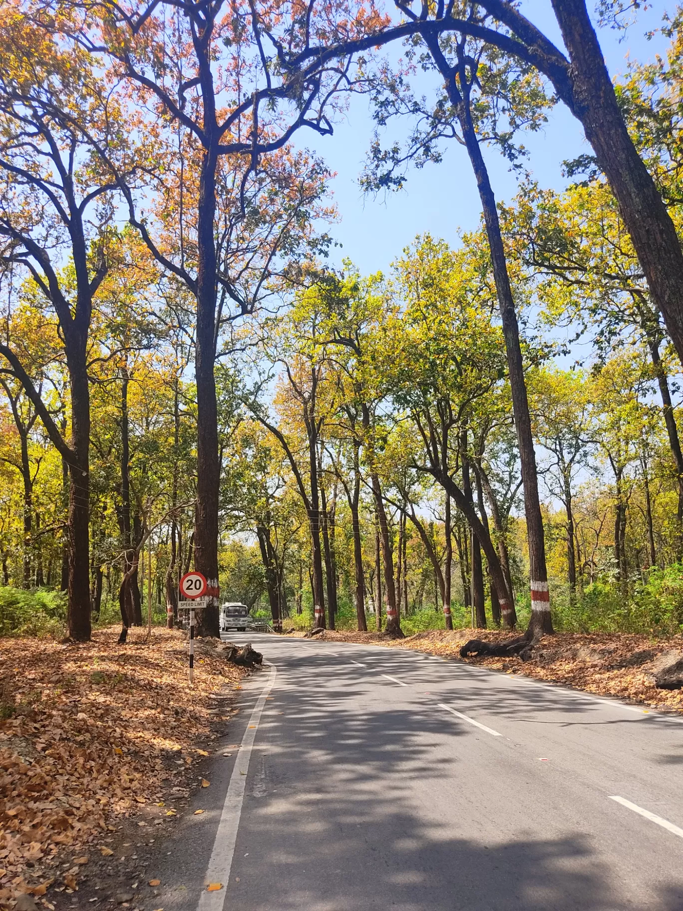 Photo of Thano Road By Path_crafter ✨