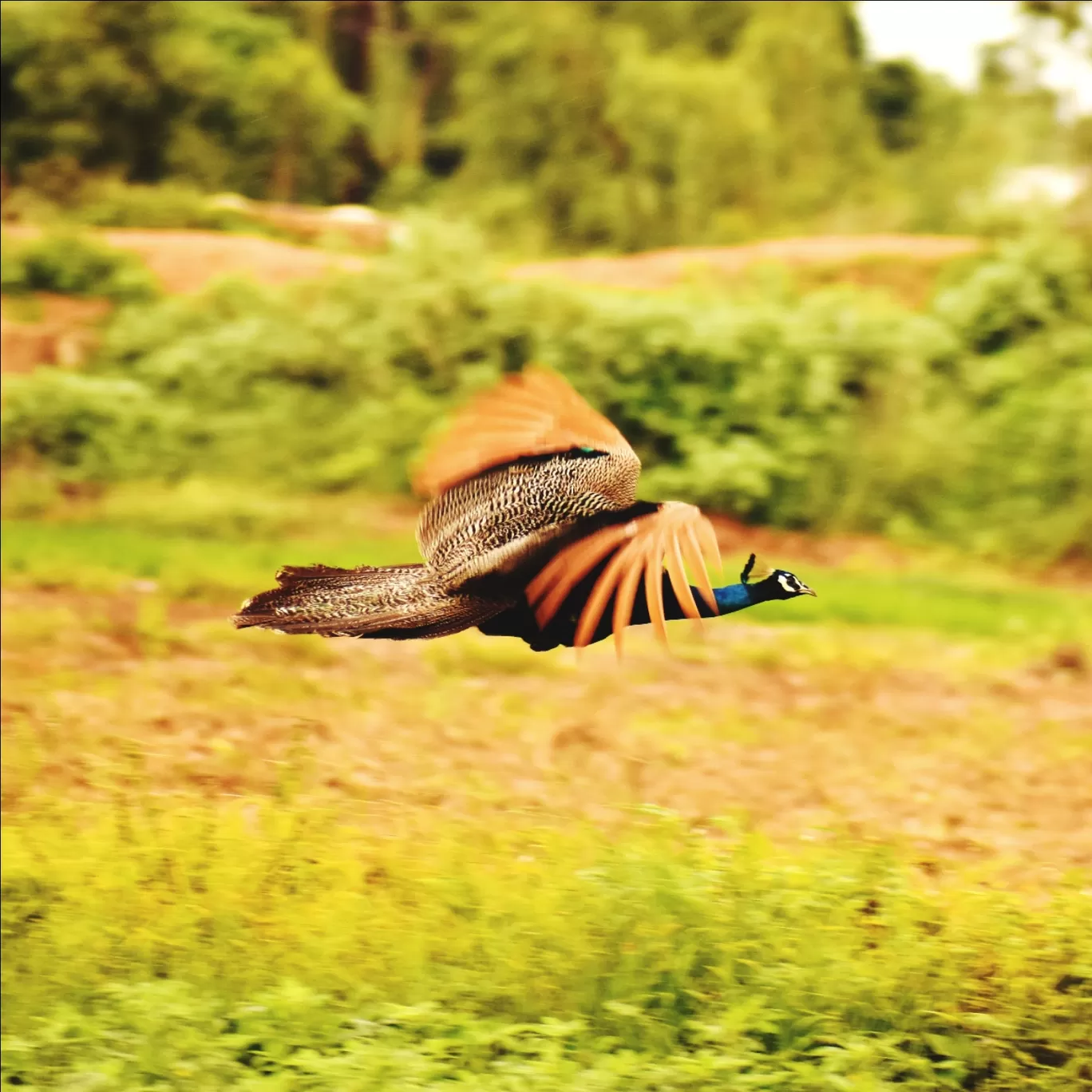 Photo of Nandagiri By Gajula Nithin