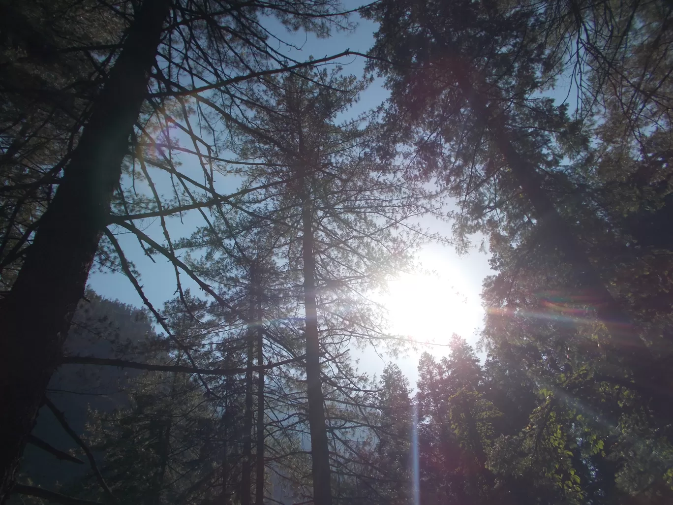 Photo of Kheerganga By Roaming Mayank