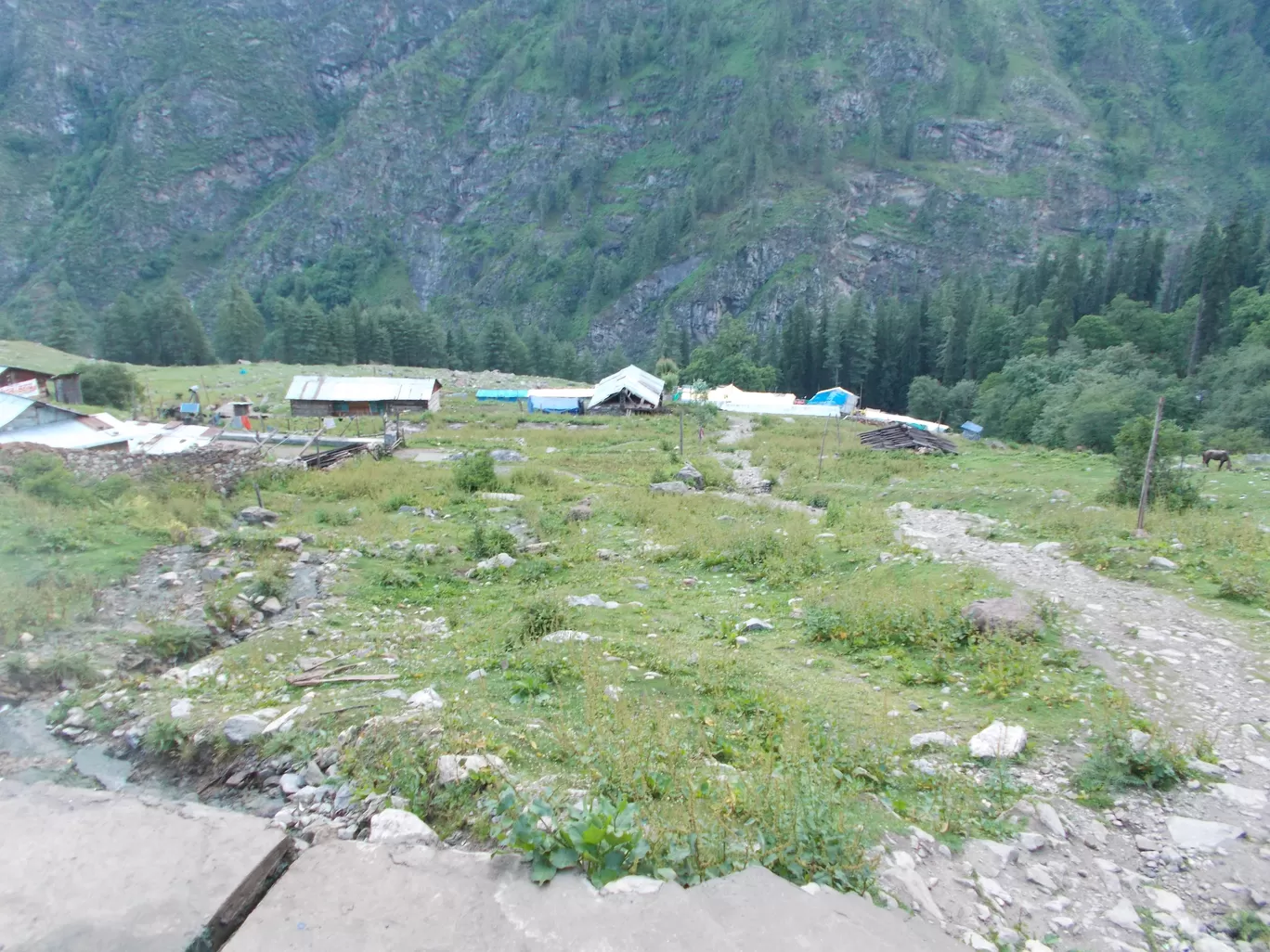 Photo of Kheerganga By Roaming Mayank