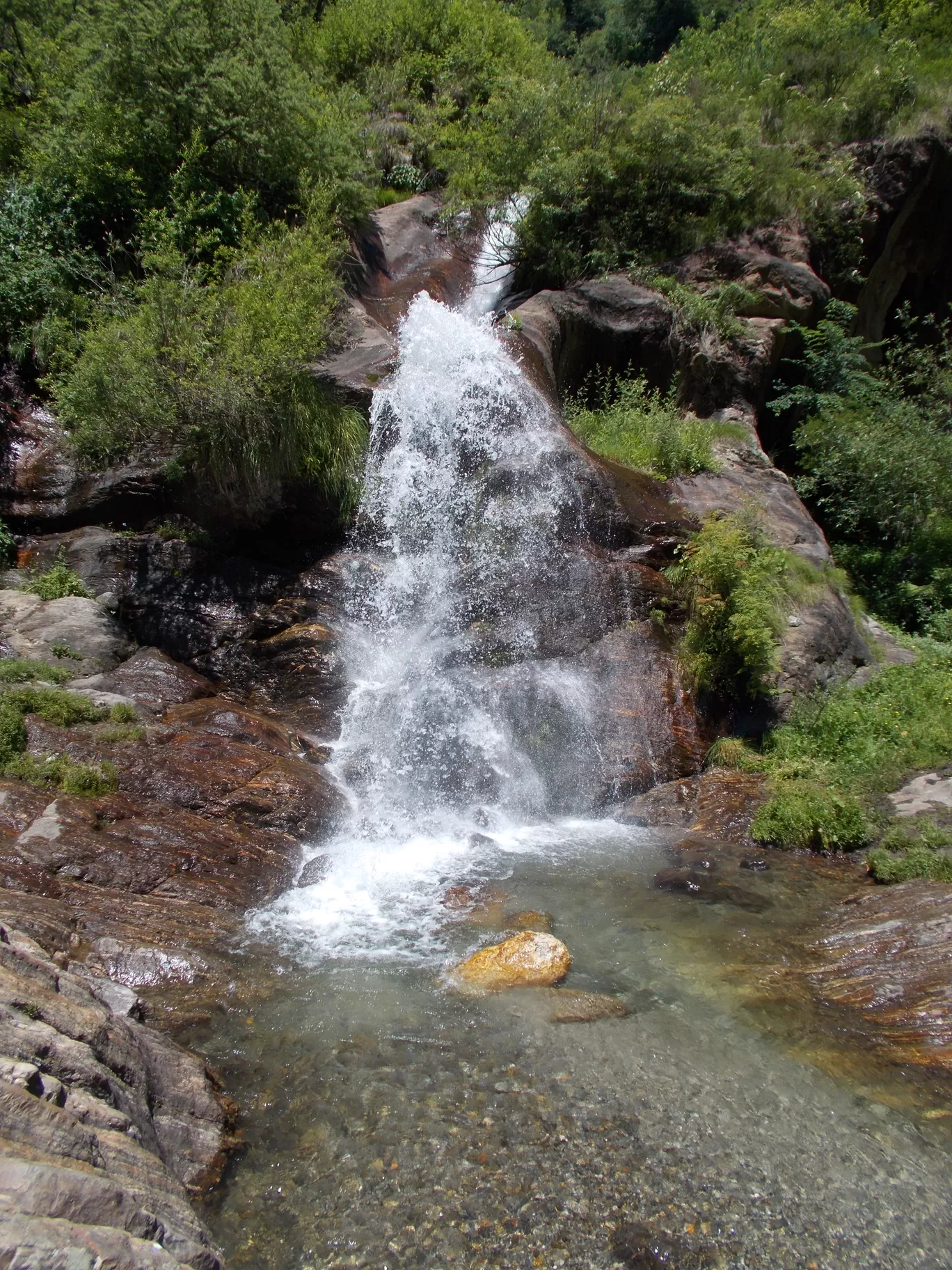 Photo of Kheerganga By Roaming Mayank