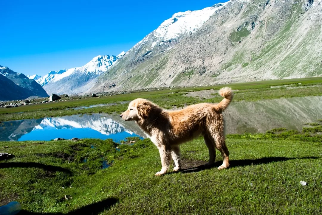 Photo of Lahaul And Spiti By Roaming Mayank