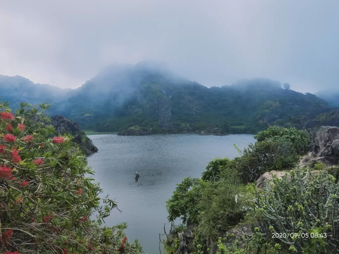 Photo of Nakki Lake By Roaming Mayank