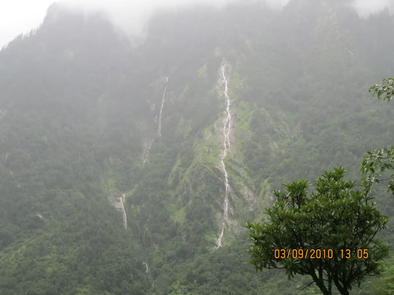 Photo of Valley of Flowers National Park By Roaming Mayank