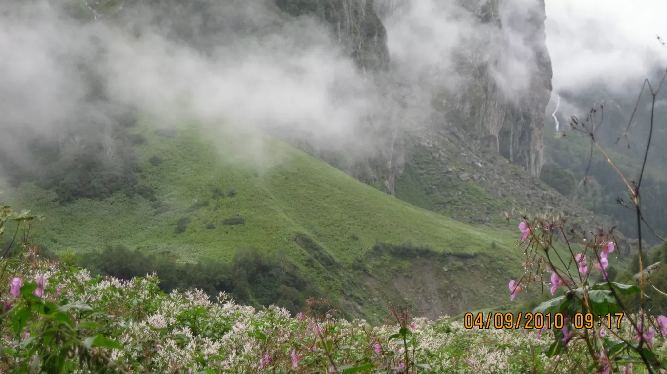 Photo of Valley of Flowers National Park By Roaming Mayank