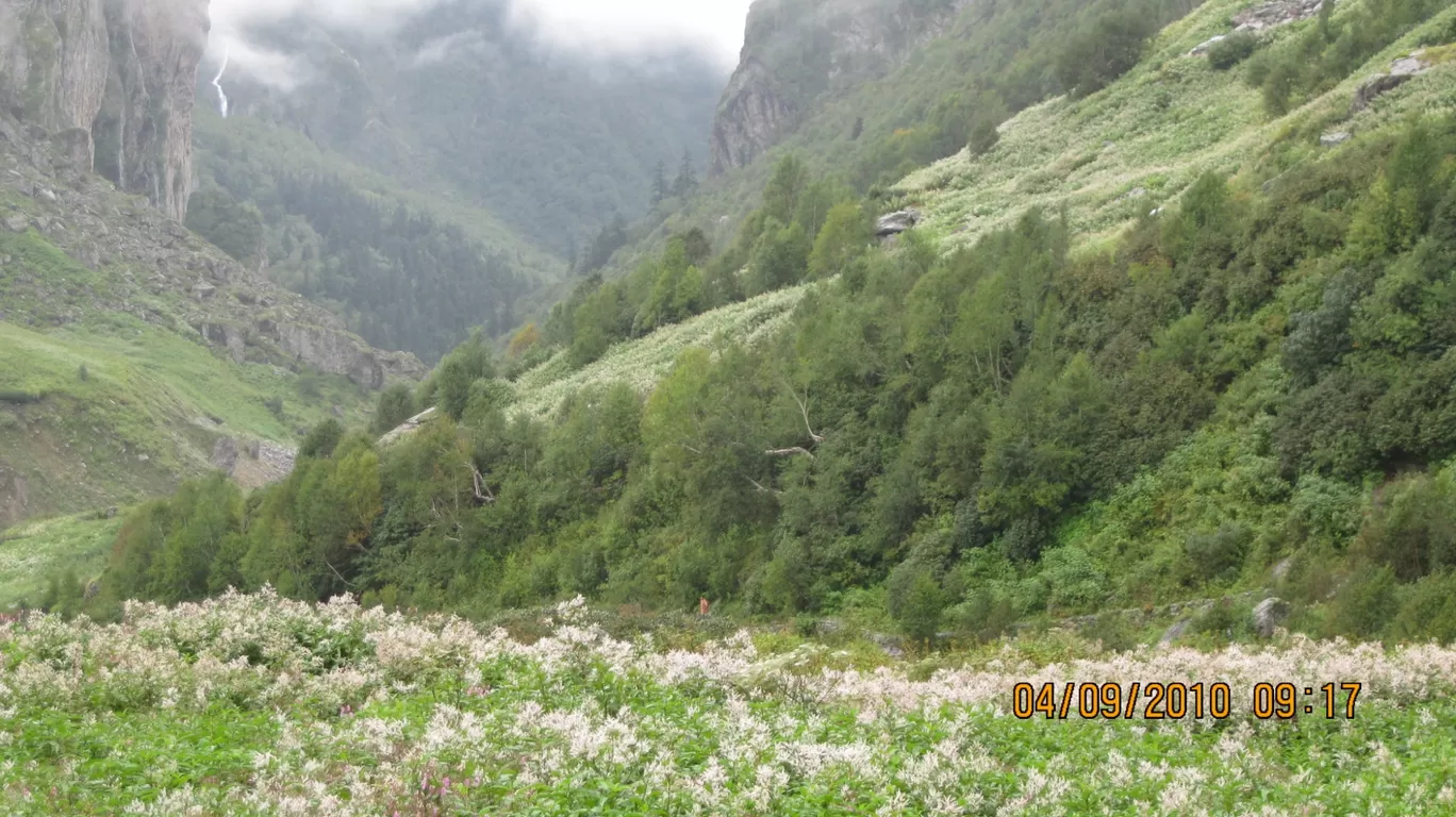 Photo of Valley of Flowers National Park By Roaming Mayank